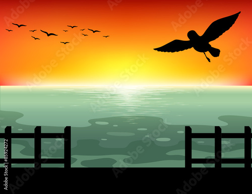 Silhouette Sunset