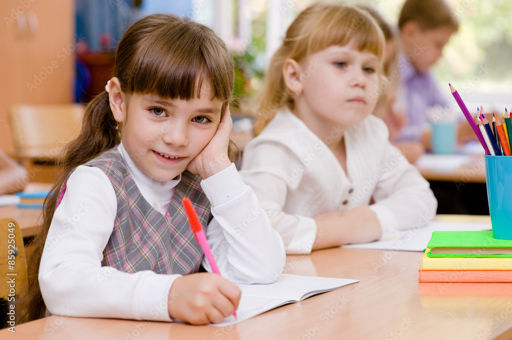 smiling schoolgirl looking at camera during lesson smiling schoolgirl looking at camera during lesson
