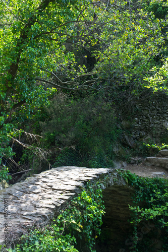 Small stone bridge over a stream in Cinque Terre, Italy