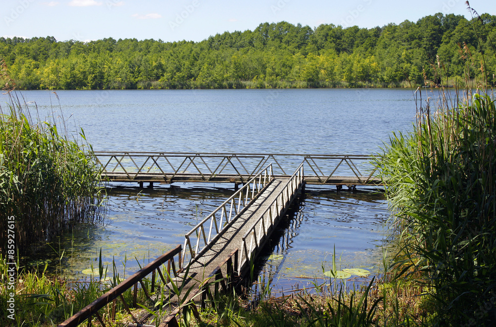 Fototapeta premium See Teih Wasser Natur Landschaft