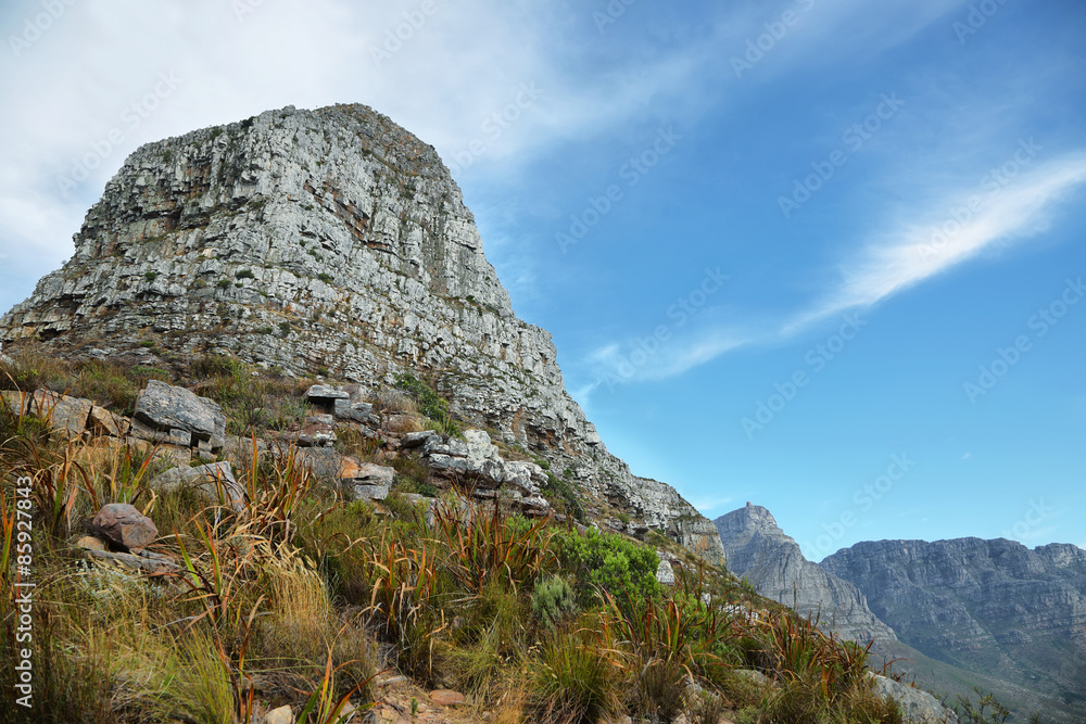 View of Lions Head