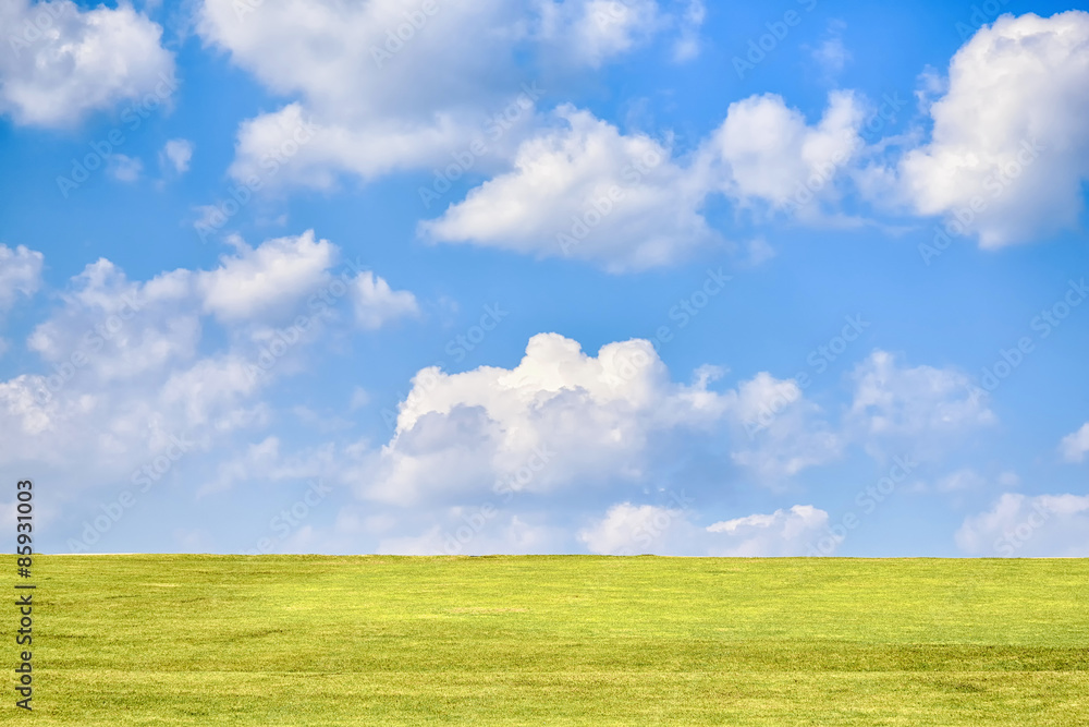 Fototapeta premium green hill with blue sky