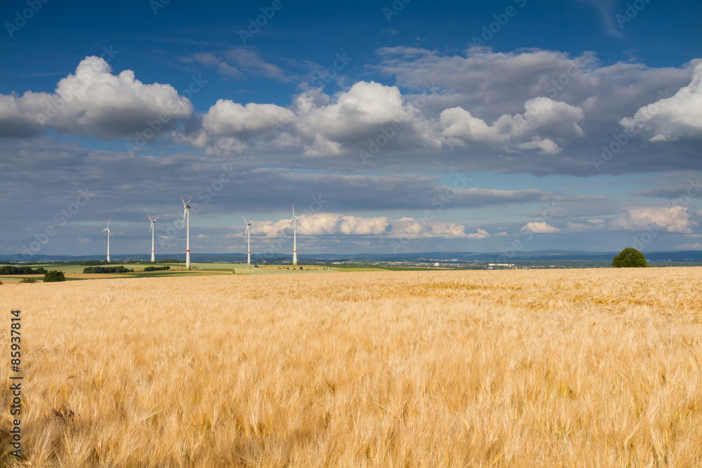 Golden wheat field and wind turbines