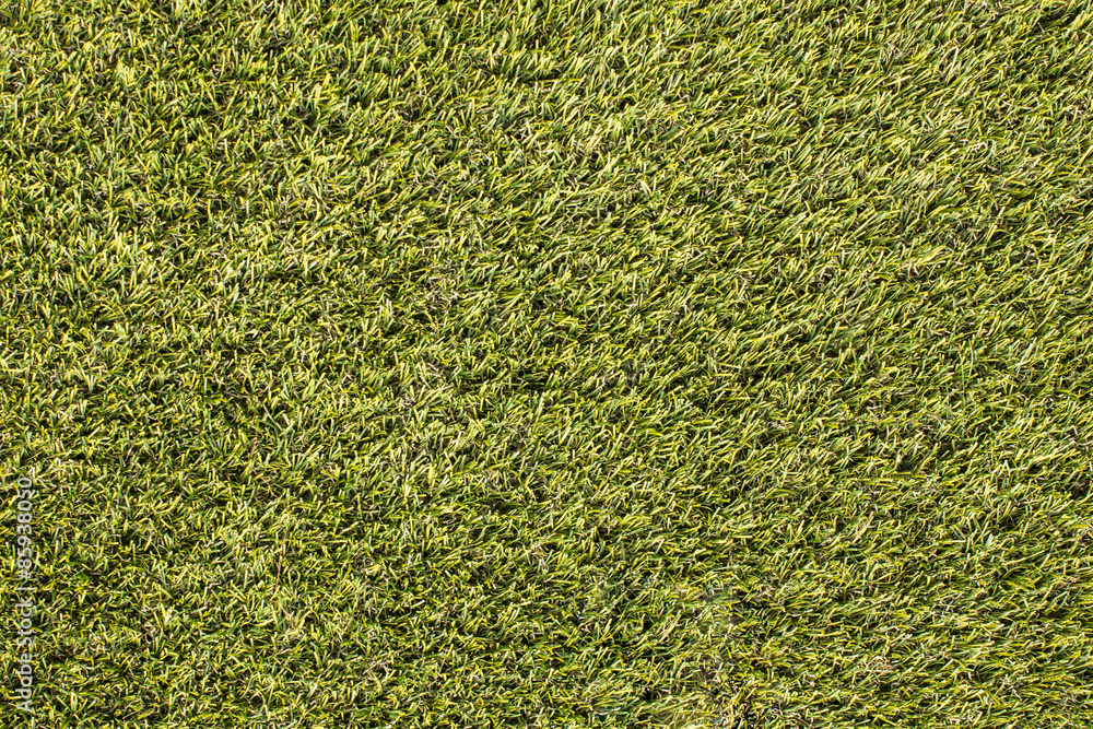 Fototapeta premium Beautiful green grass seamless.