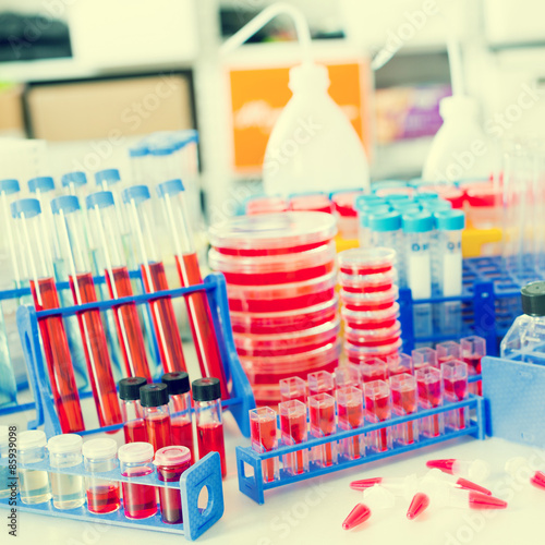 microbiology items on laboratory table