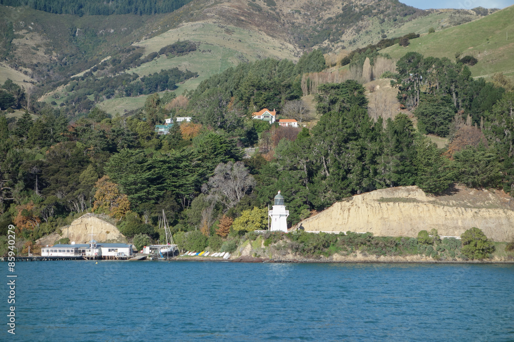 Fototapeta premium Zatoka portowa w Akaroa