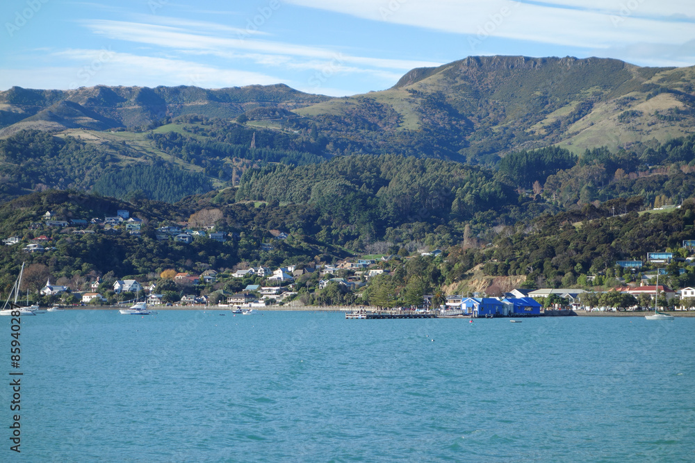 Bay harbour in Akaroa