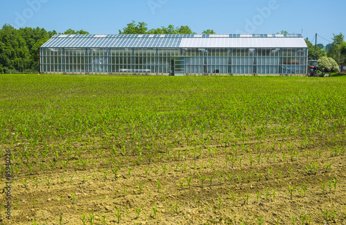 Greenhouse on a farm for food production photo