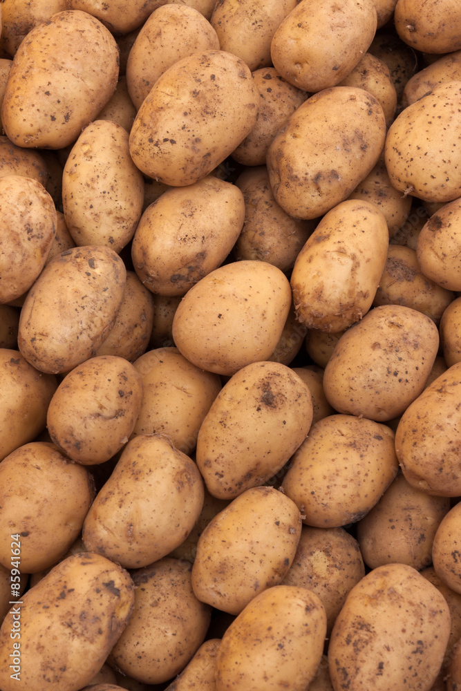 Group of potatoes Group of potatoes