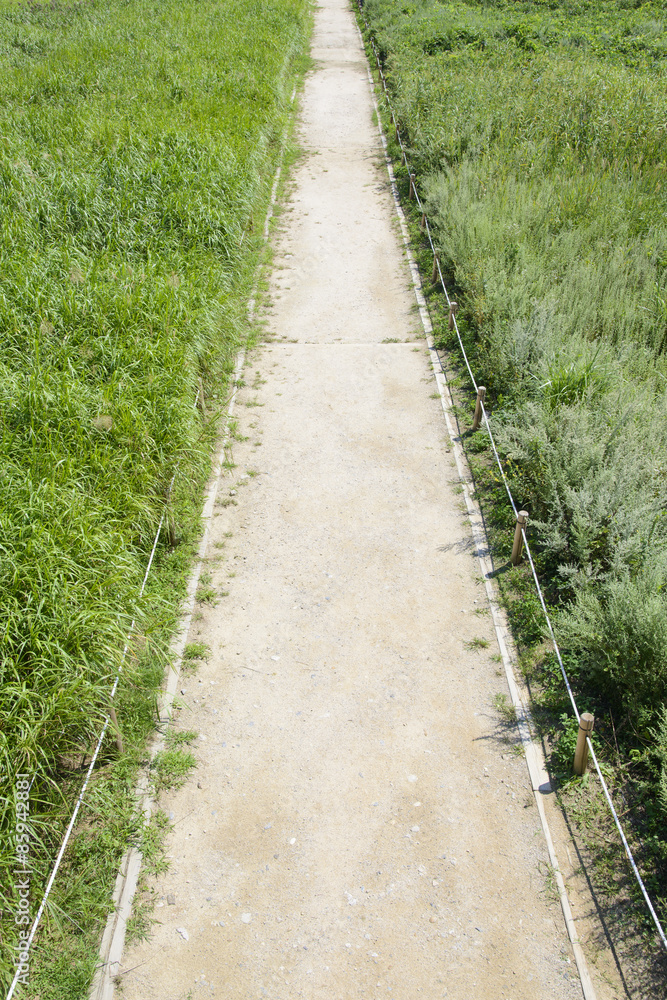 Obraz premium lined straight path in a silver grass field
