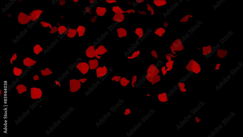 Falling rose petals Falling rose petals