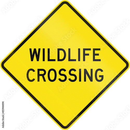 An Australian warning traffic sign - Wildlife Crossing photo