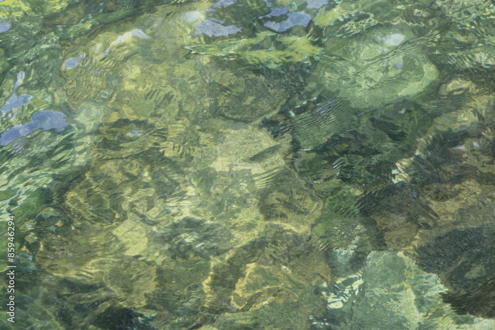 Fototapeta premium Das Süßwasser am See