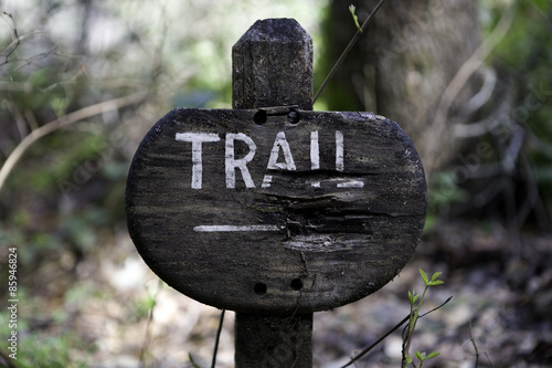 Big Sur Trail
