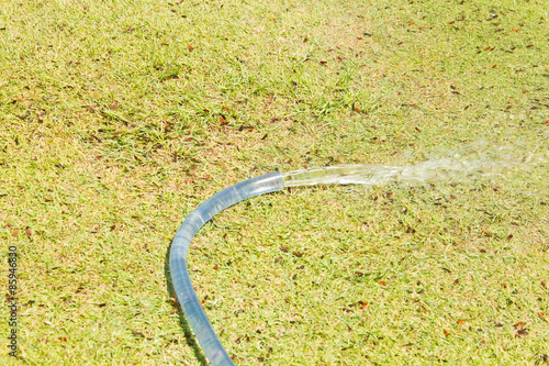 Watering hose on grasses background