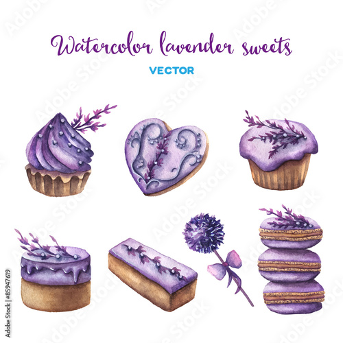 Vector watercolor lavender sweets set.