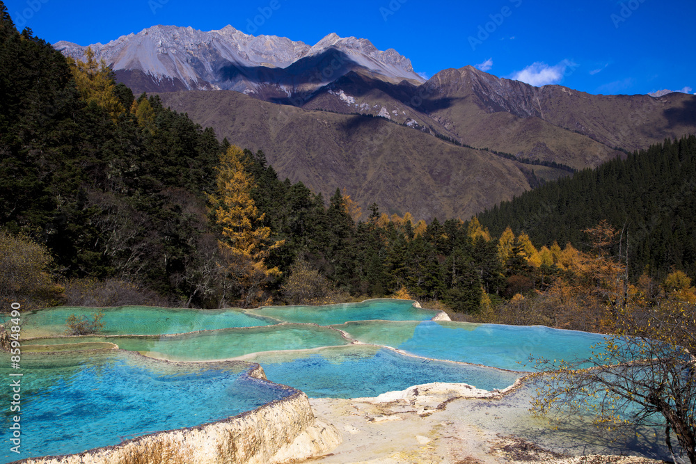 Naklejka premium 秋の玉翠彩池