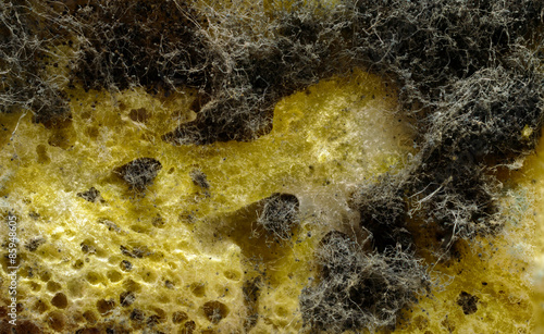mold on bread, background