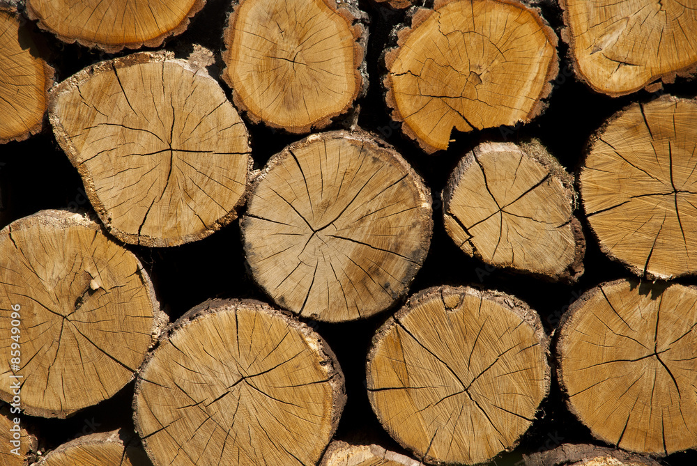 Cross section of the timber. A stack of dry firewood laid in a h Cross section of the timber. A stack of dry firewood laid in a h