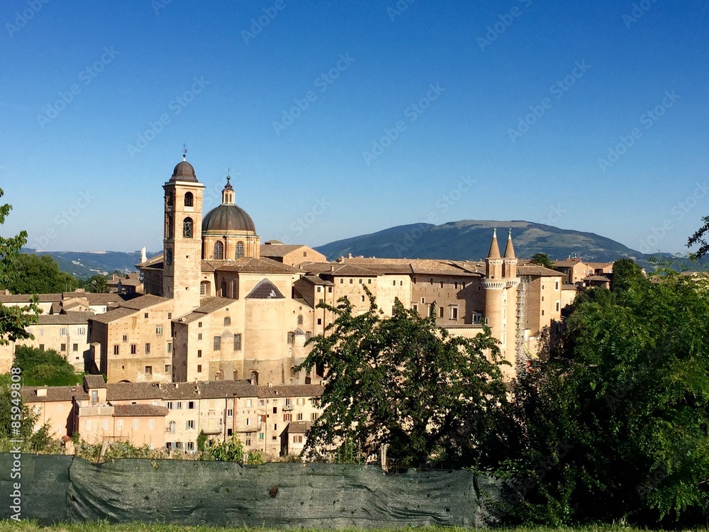 Urbino -Marche