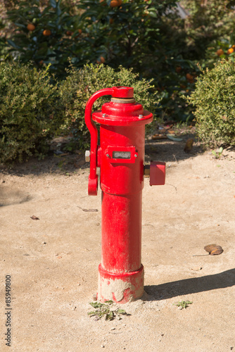 fire hydrant in a outdoor