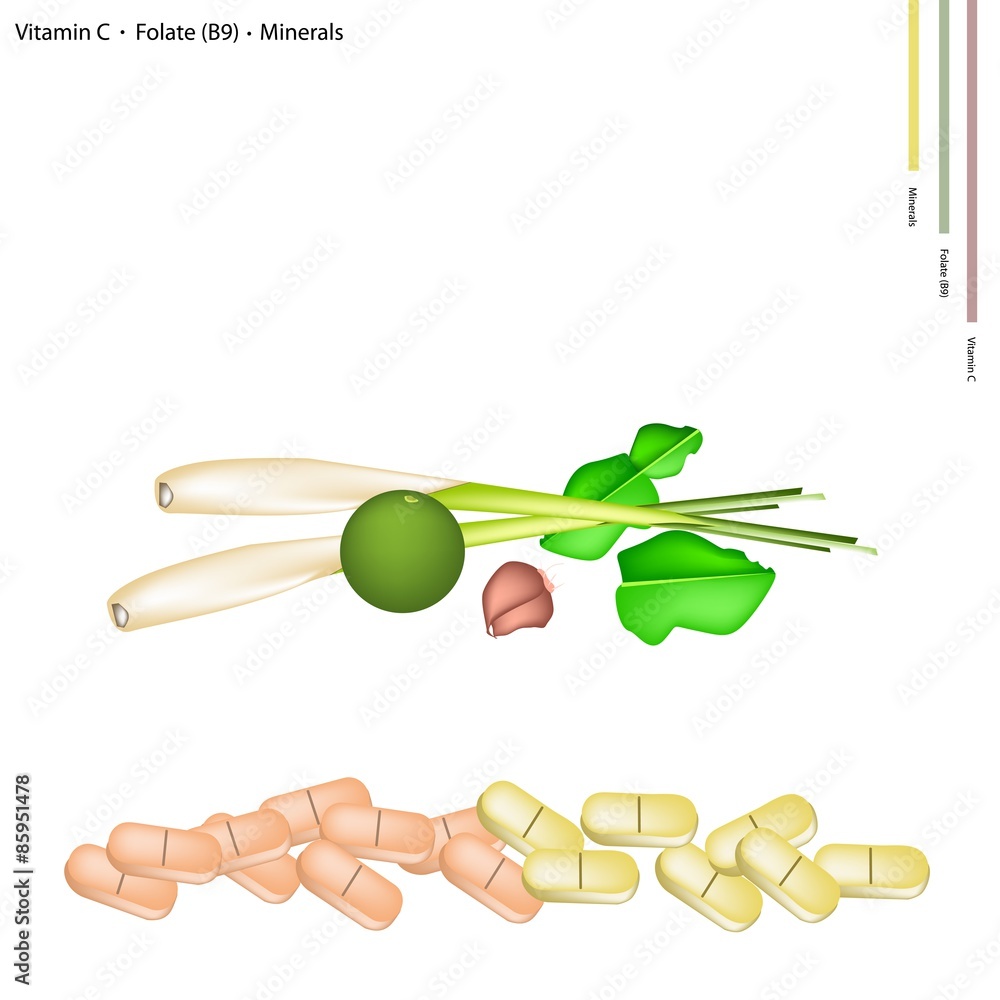 Thai Herbs with Vitamin C, B9 and Minerals Thai Herbs with Vitamin C, B9 and Minerals