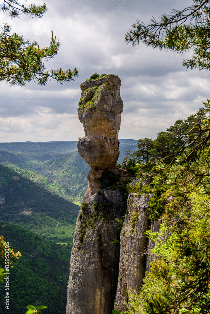 vase de sèvres dans les de la jonte Stock Photo Adobe Stock