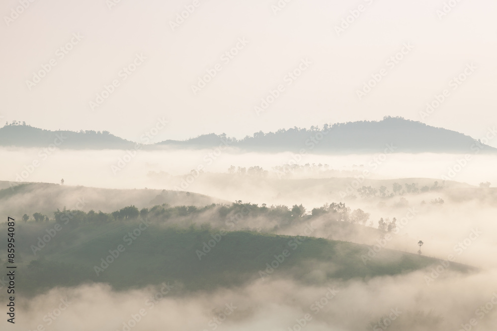 Fog covered mountains and forest in the morning.