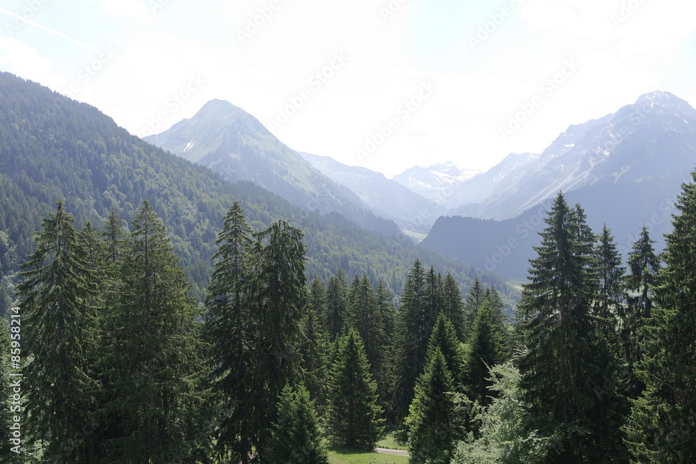 mountains of bregenz
