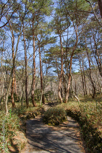 Yeongsil trail of Hallasan National park