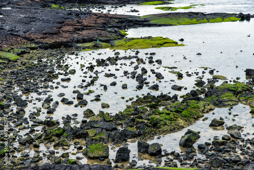 basaltic shore in Jeju photo