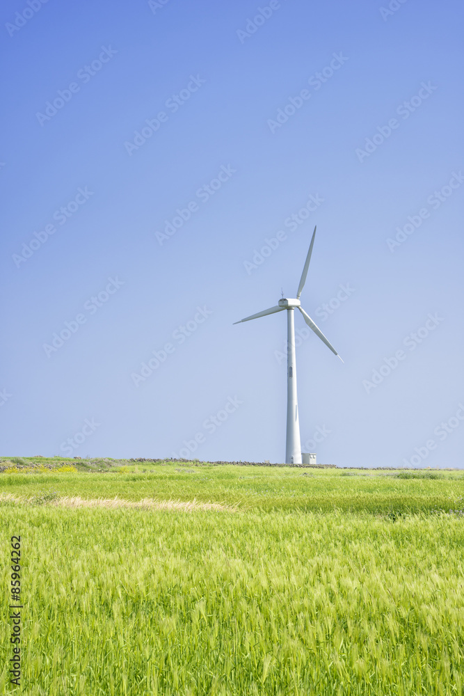 Landscape of green barley field and wind generato Landscape of green barley field and wind generato