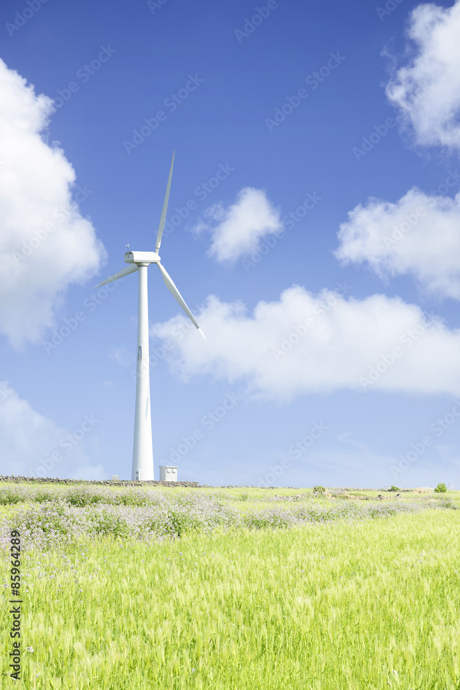 Landscape of green barley field and wind generato Landscape of green barley field and wind generato