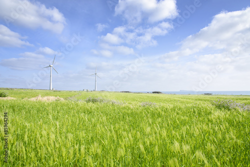 Landscape of green barley field and wind generato