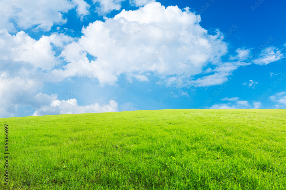 green field and blue sky