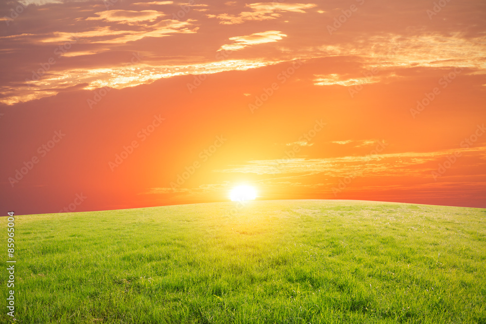 Grass land  at the sunset