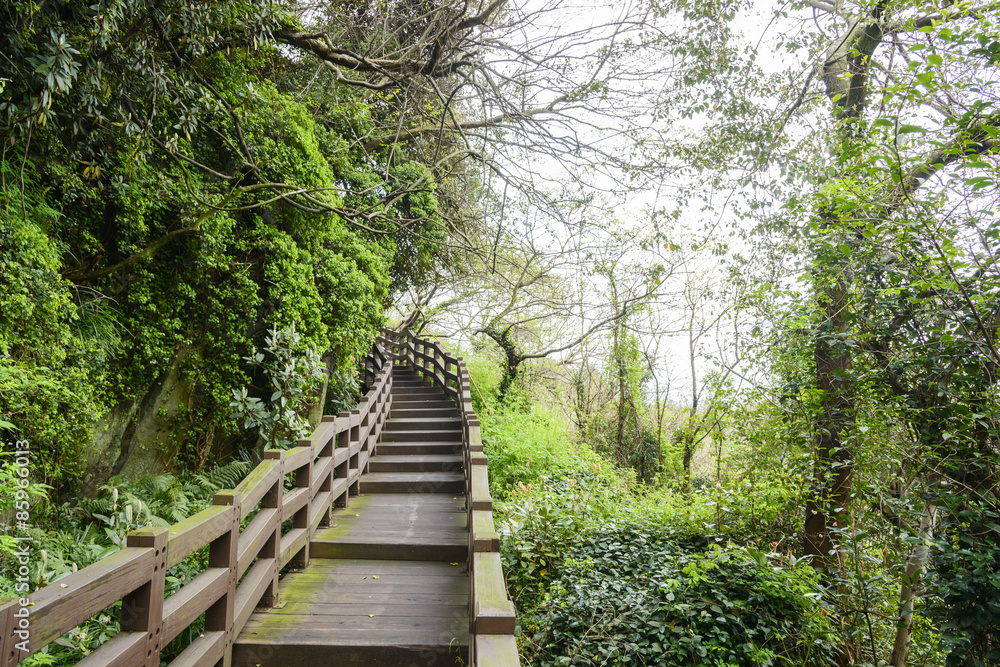 Fototapeta premium Trail to Cheonjeyeon waterfall