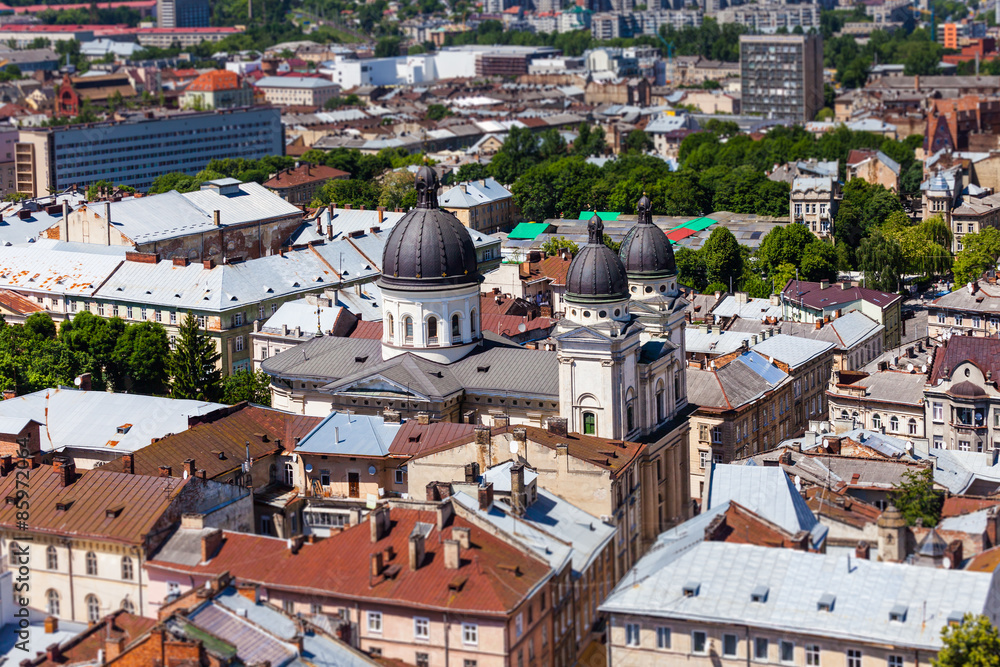 Obraz premium lviv at summer, view from City Hall.