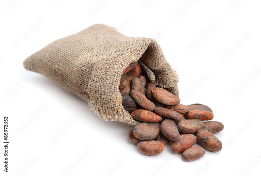 Cocoa beans before roast Cocoa beans before roast