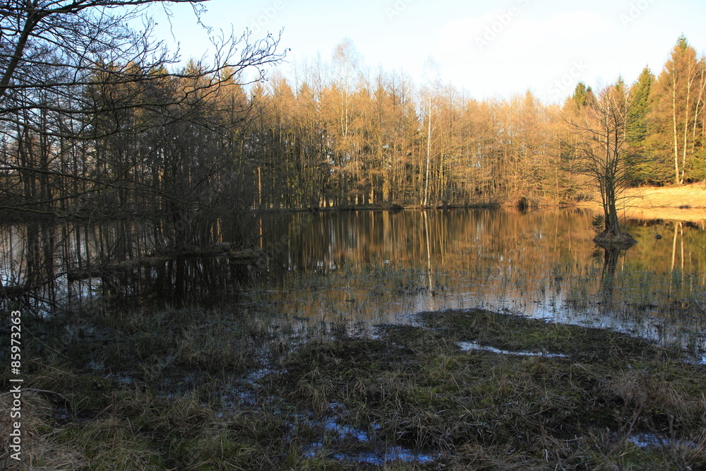 Moorgebiet mit See und Wald