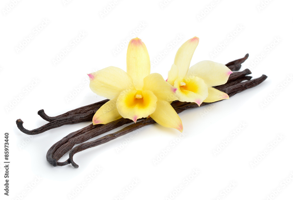 Vanilla pods with two yellow orchids. - obrazy, fototapety, plakaty 