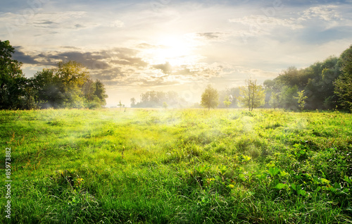 Green meadow at sunrise