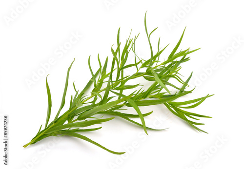 Tarragon (Artemisia dracunculus)