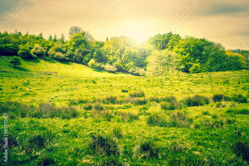 Countryside landscape with sunshine
