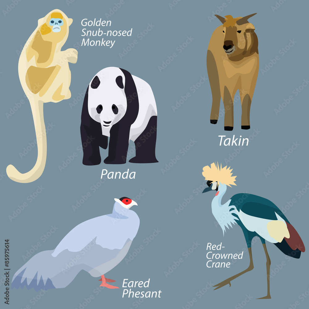 Obraz premium Animals of China in simple design