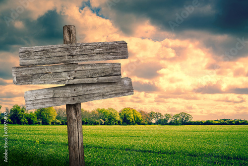 Wooden sign on a green field