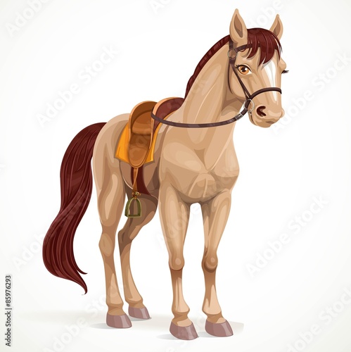Beige horse saddled and in harness isolated on a white backgroun