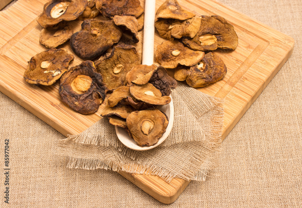 Dried mushrooms on canvas Dried mushrooms on canvas