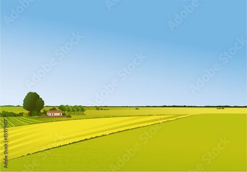 Rural landscape