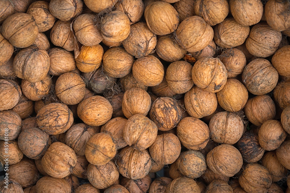 Nuts background texture Nuts background texture